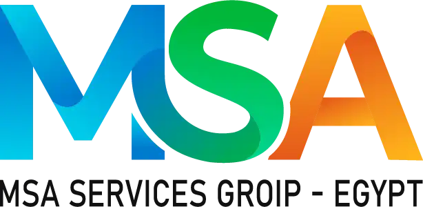 MSA Services Group